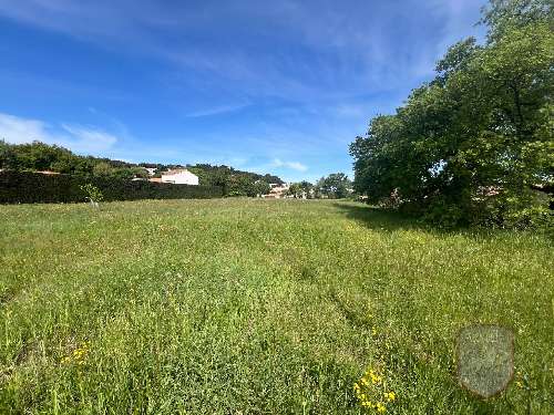 Saint-Laurent-des-Arbres Gard terrein foto 7061479