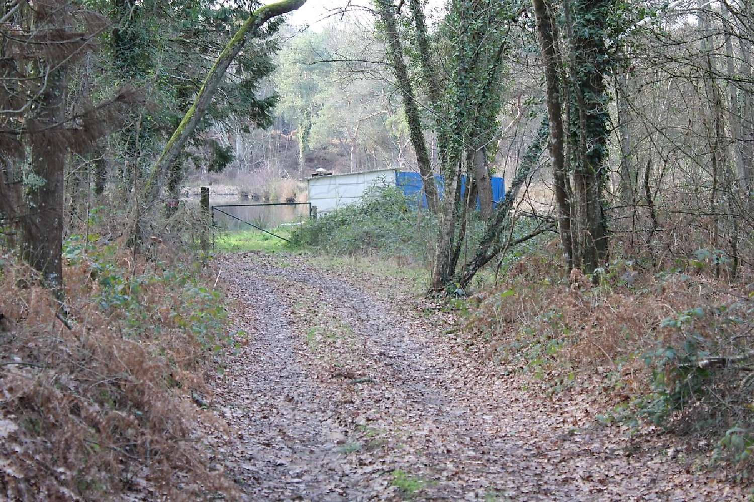  te koop terrein Saint-Mars-la-Brière Sarthe 3