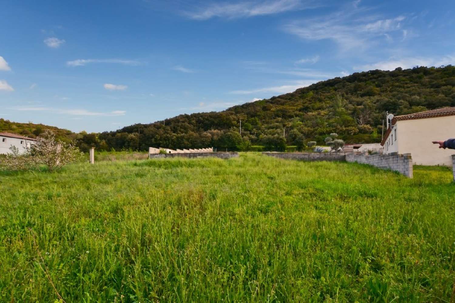  for sale terrain Saint-Nazaire-de-Ladarez Hérault 1