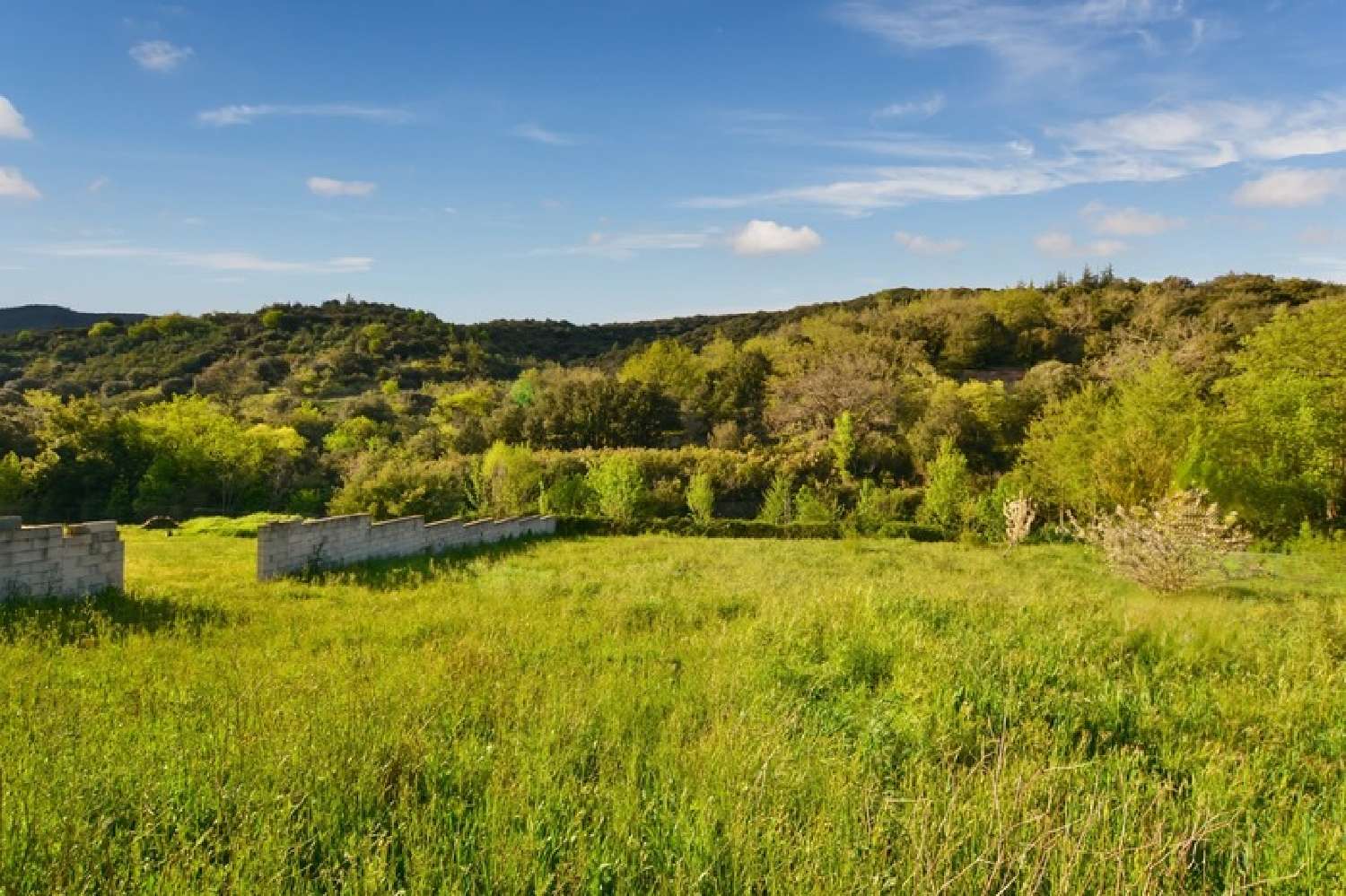  for sale terrain Saint-Nazaire-de-Ladarez Hérault 4