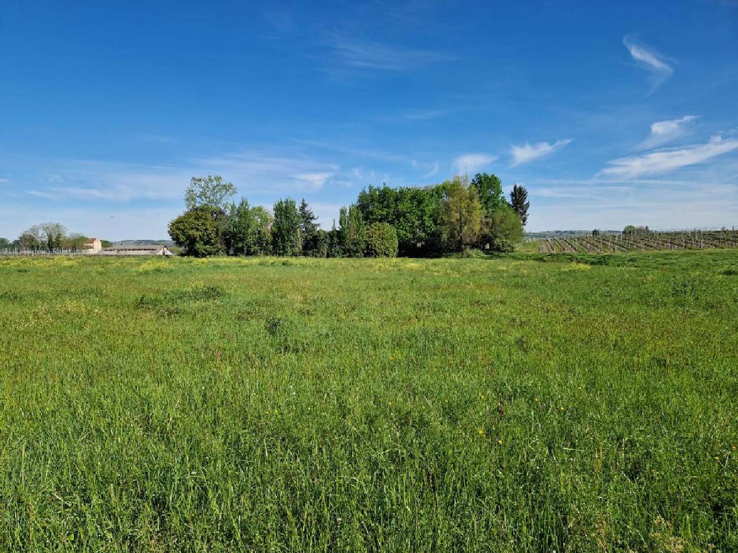  à vendre terrain Saint-Pierre-de-Mons Gironde 1