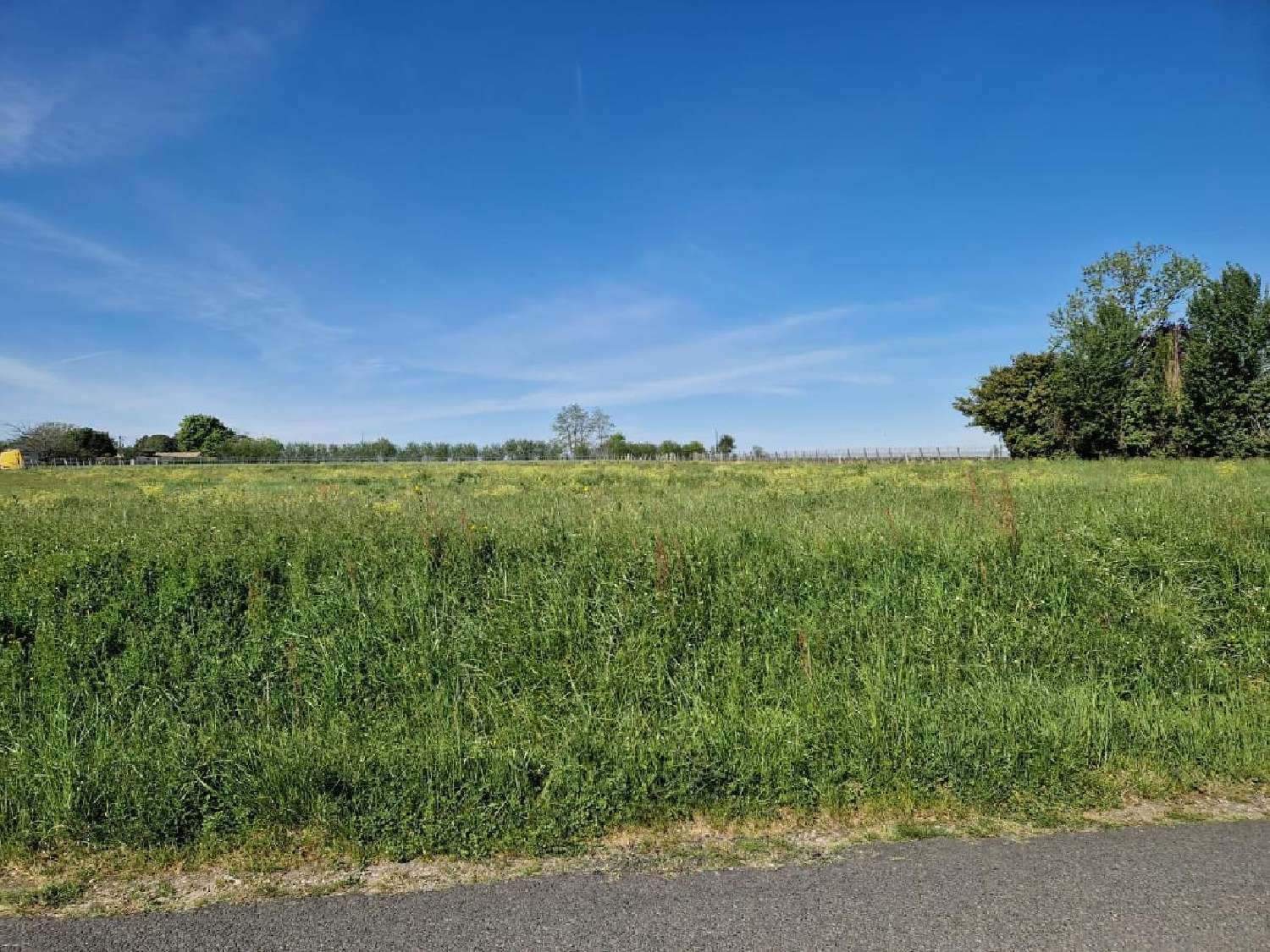  à vendre terrain Saint-Pierre-de-Mons Gironde 4