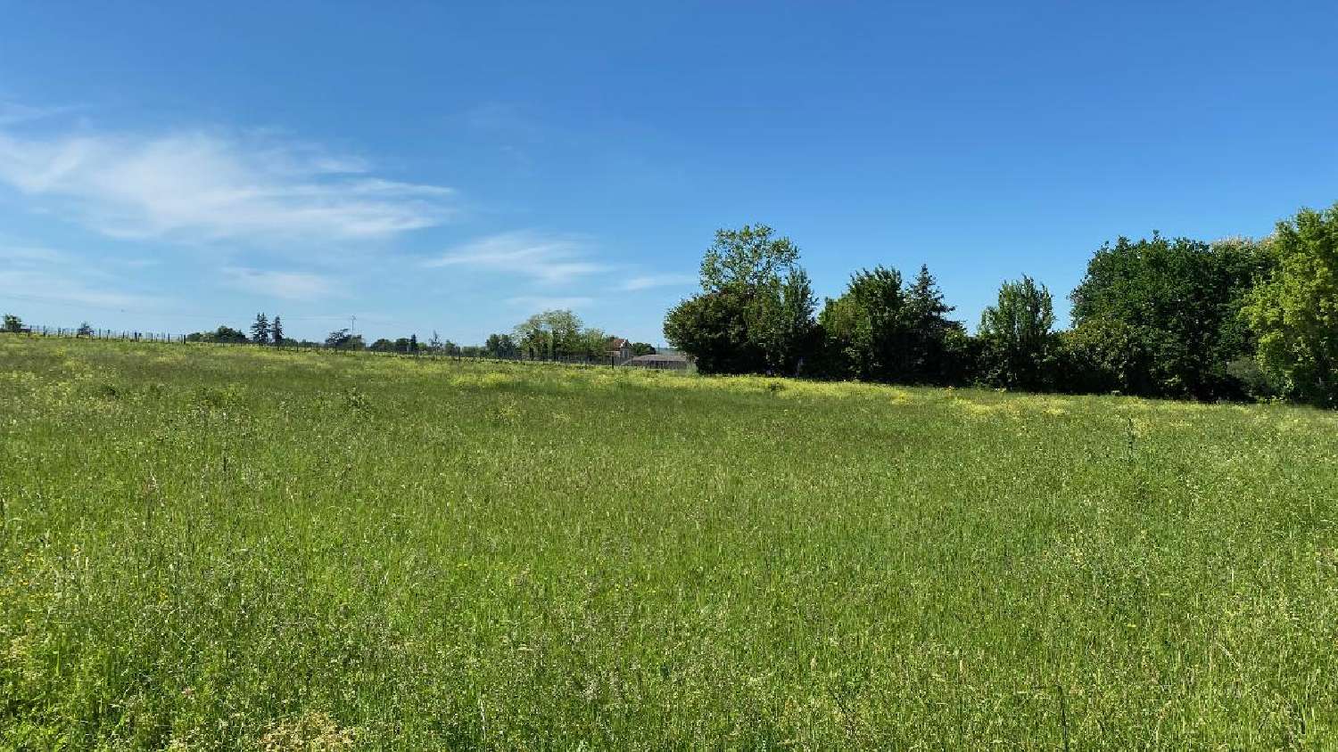 à vendre terrain Saint-Pierre-de-Mons Gironde 5