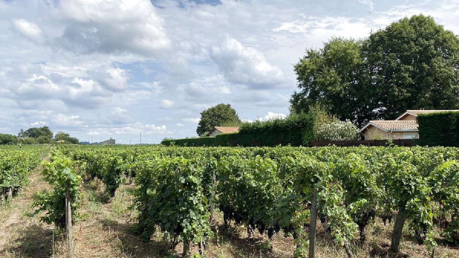  à vendre terrain Saint-Sulpice-de-Faleyrens Gironde 4