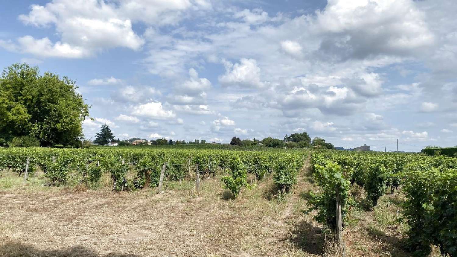  à vendre terrain Saint-Sulpice-de-Faleyrens Gironde 5