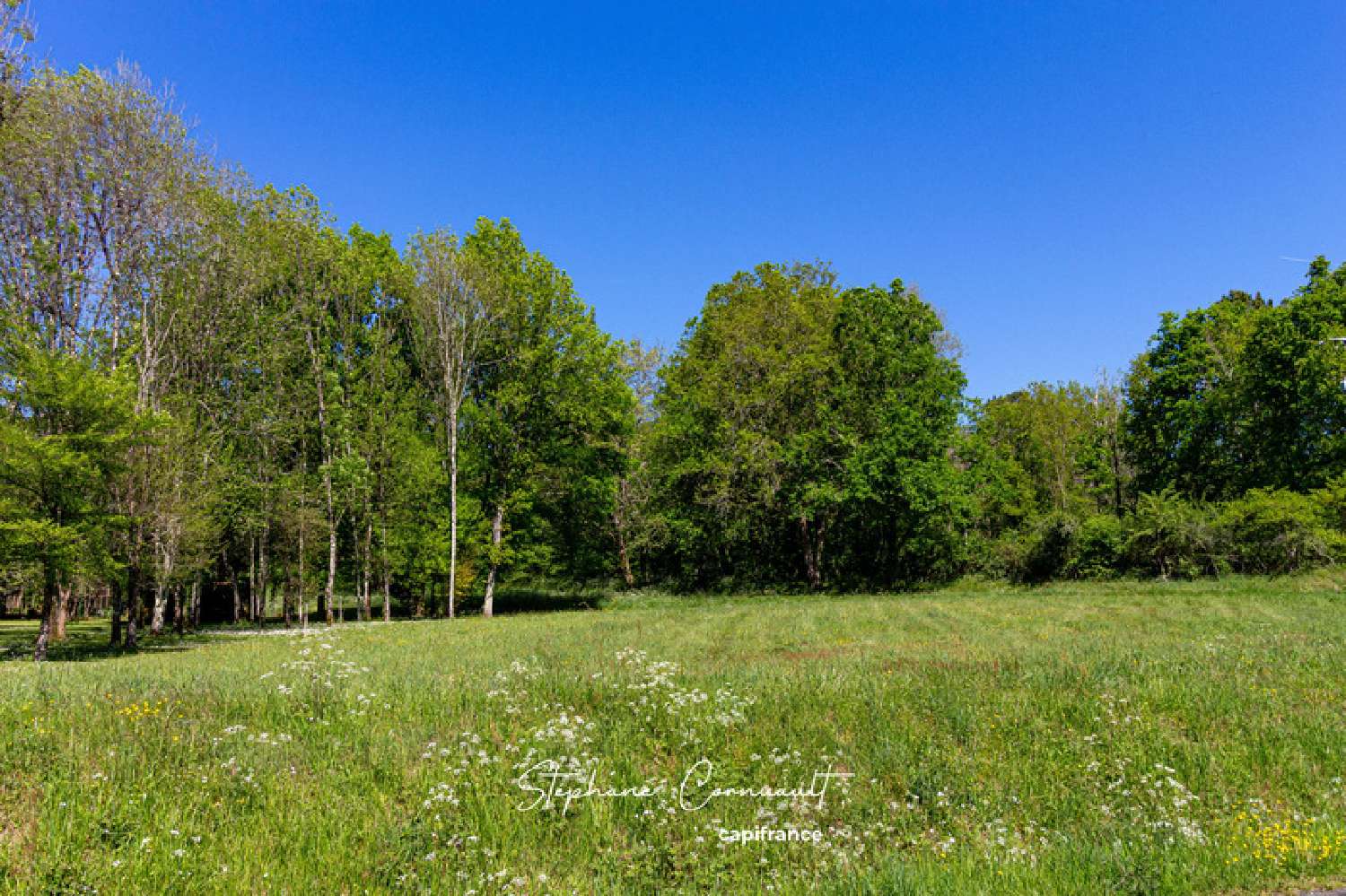  à vendre terrain Saint-Vincent-de-Connezac Dordogne 3