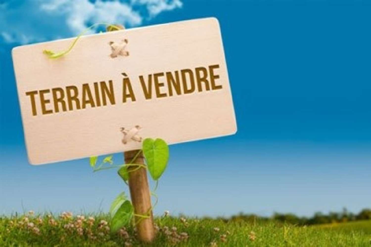  for sale terrain Sarralbe Moselle 2