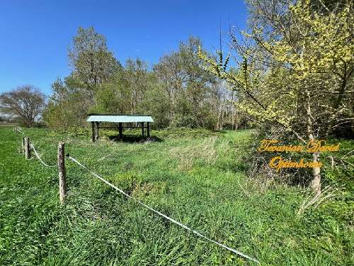 Selles-sur-Cher Loir-et-Cher Grundstück Bild 7065791