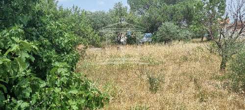 Sorgues Vaucluse terrain foto 7062370