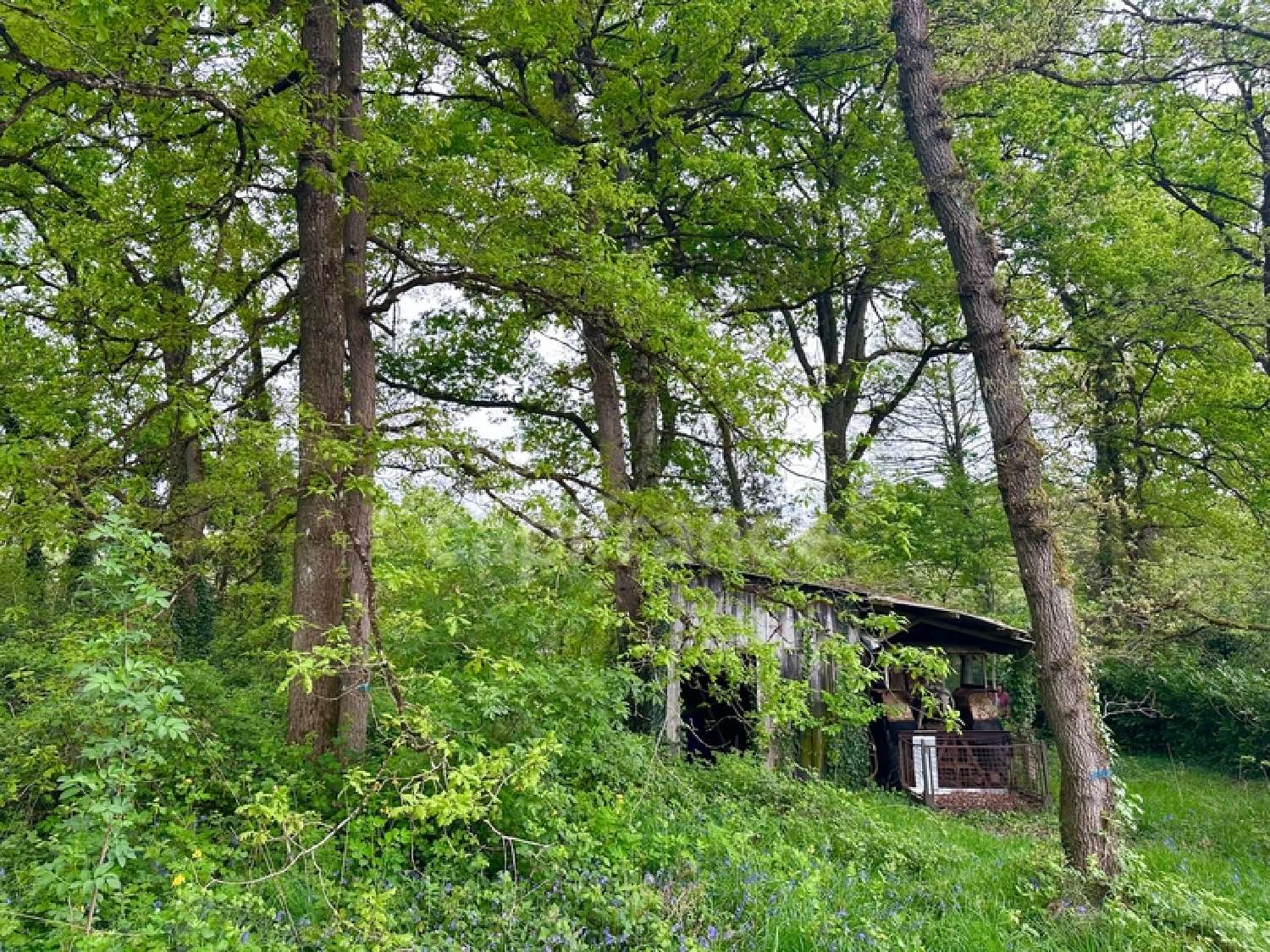  for sale terrain Verrie Maine-et-Loire 2