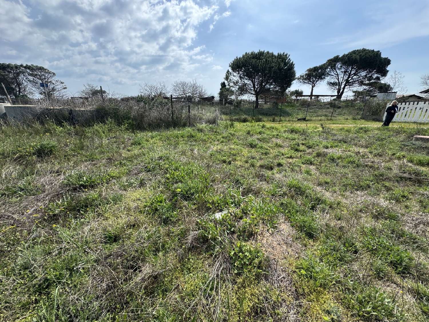  for sale terrain Vias Hérault 3