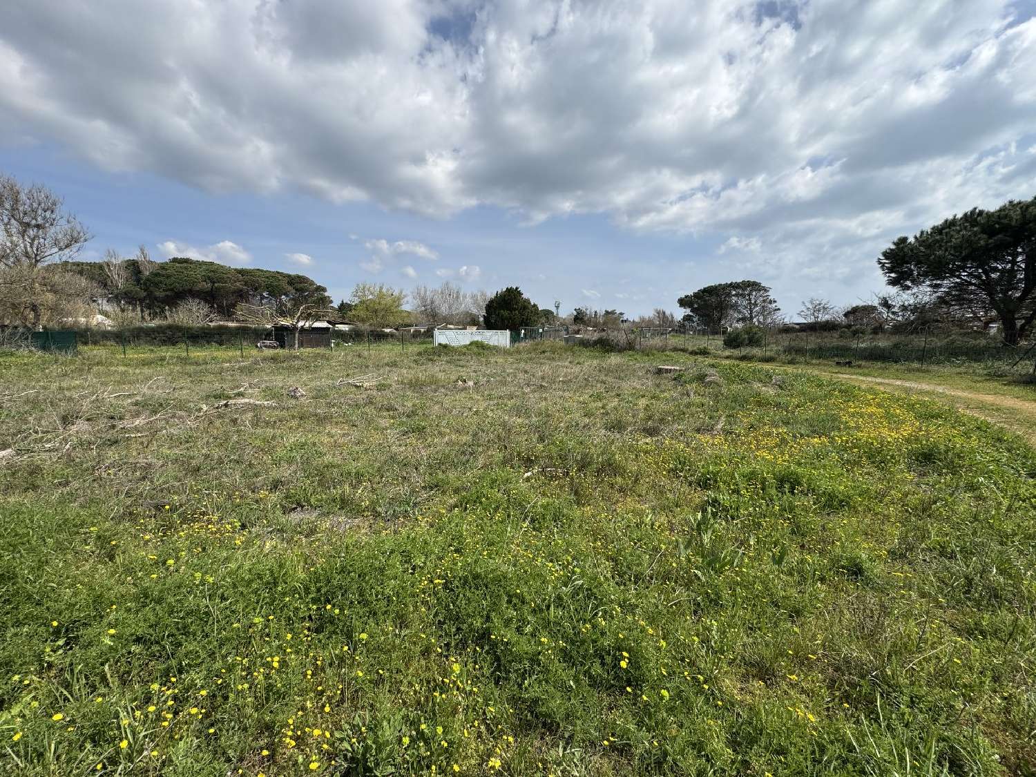  for sale terrain Vias Hérault 6