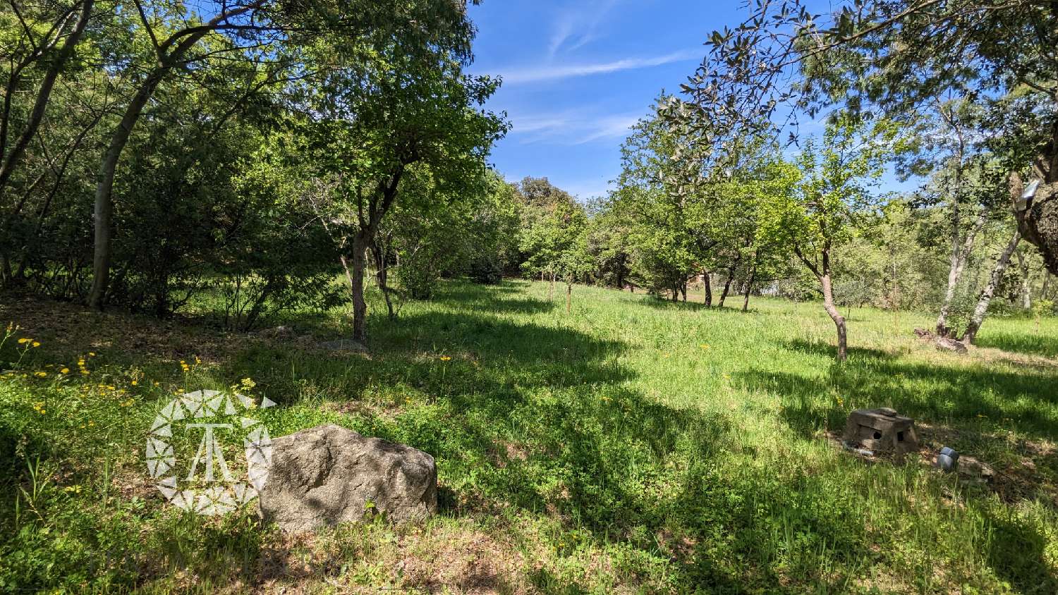  te koop terrein Villelongue-dels-Monts Pyrénées-Orientales 1