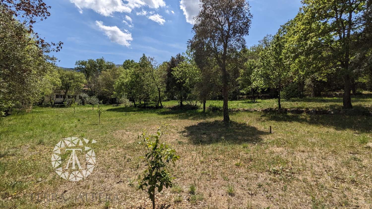  te koop terrein Villelongue-dels-Monts Pyrénées-Orientales 4