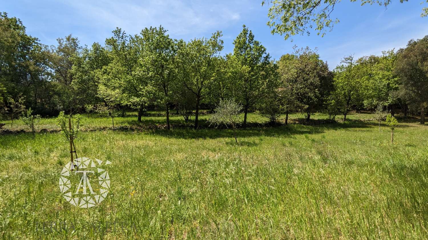  te koop terrein Villelongue-dels-Monts Pyrénées-Orientales 5