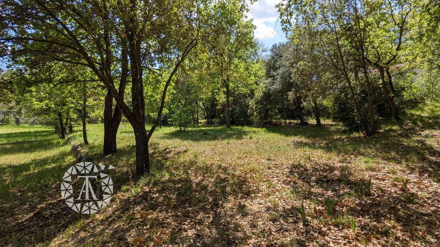  te koop terrein Villelongue-dels-Monts Pyrénées-Orientales 6
