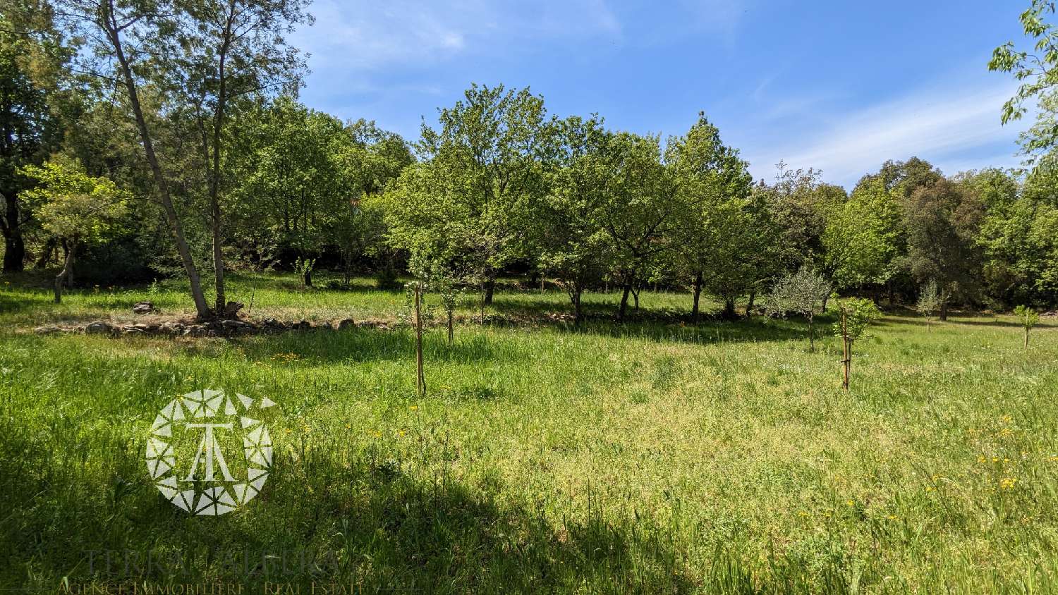  te koop terrein Villelongue-dels-Monts Pyrénées-Orientales 7