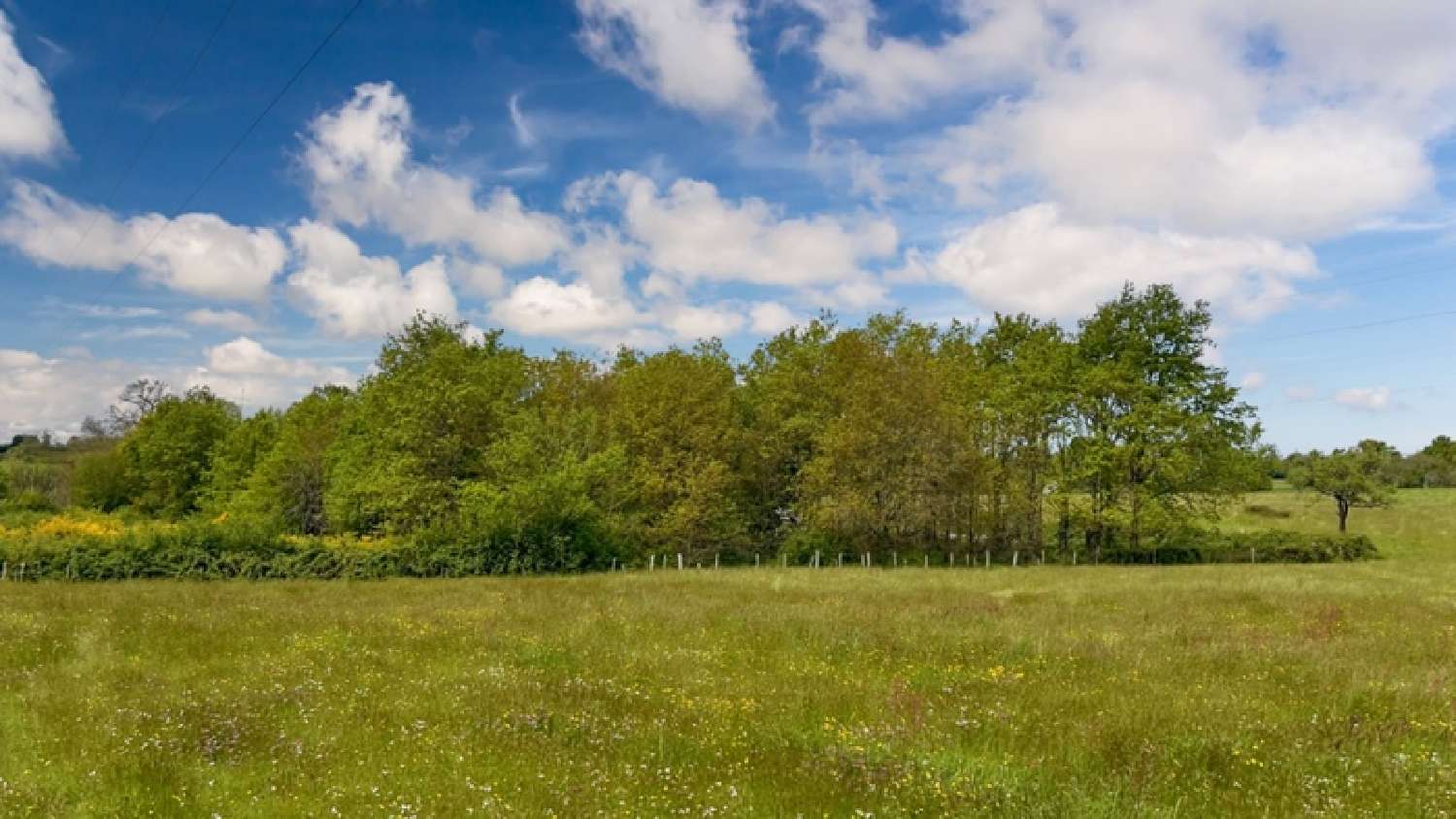  for sale terrain Yvré-l'Évêque Sarthe 1