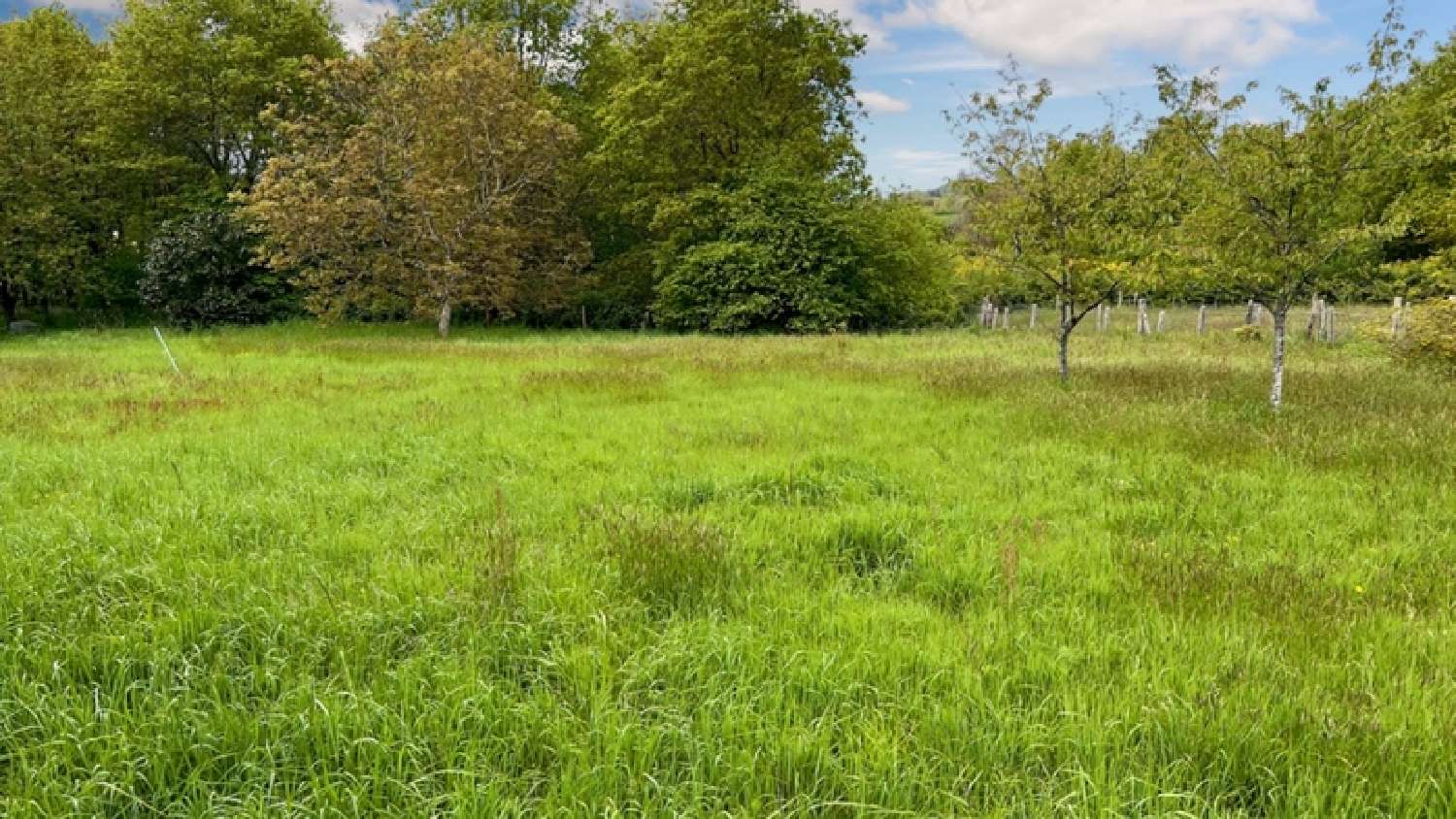  for sale terrain Yvré-l'Évêque Sarthe 4