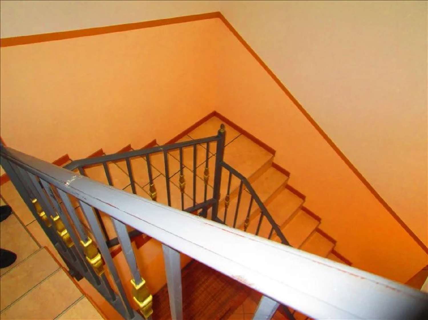  en venta villa Aiguefonde Tarn 3