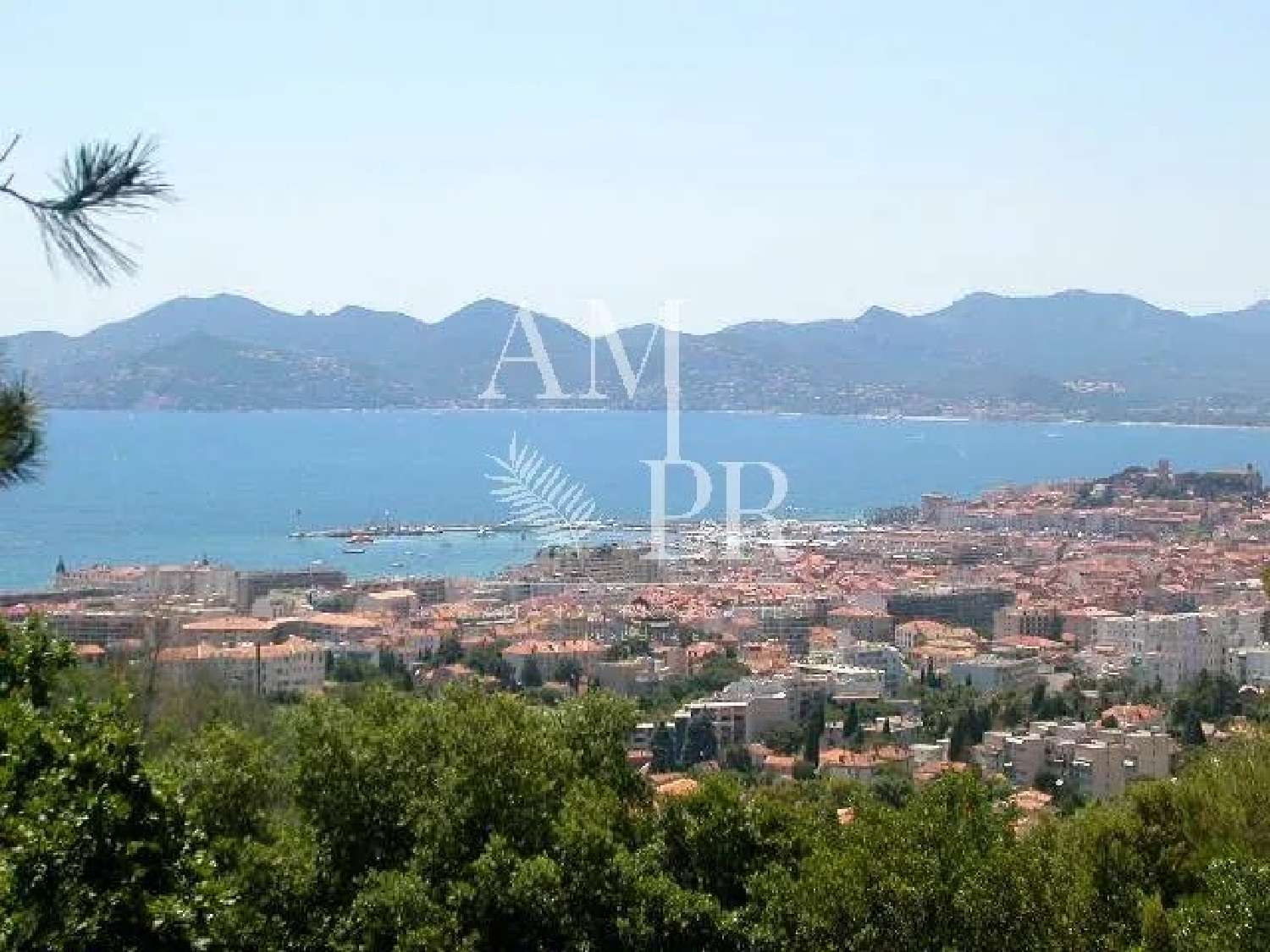  for sale villa Cannes Alpes-Maritimes 1