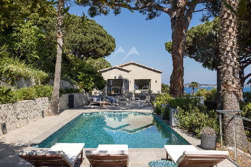 Cannes Alpes-Maritimes Villa Bild 7069422