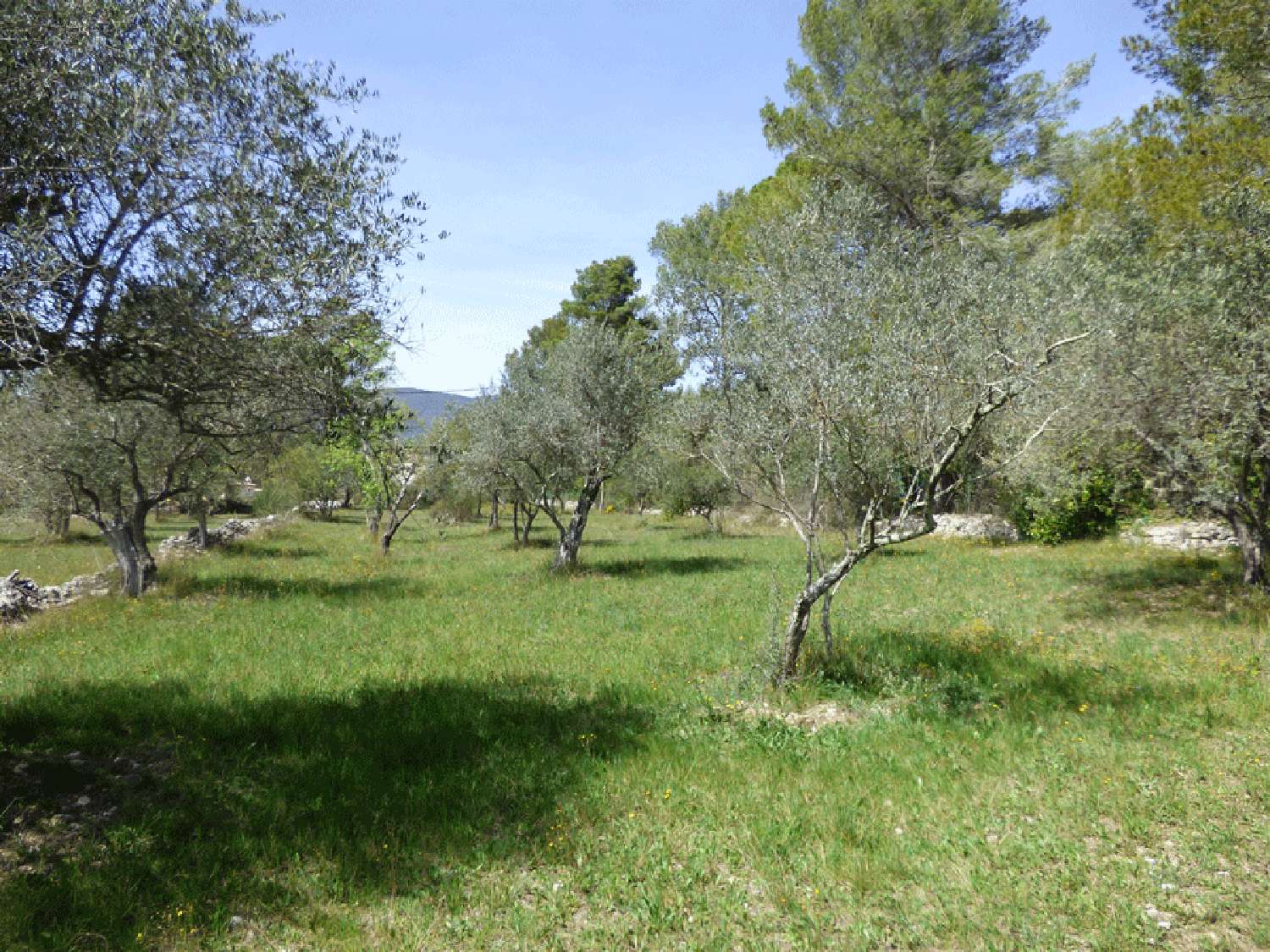  en venta villa Fayence Var 8