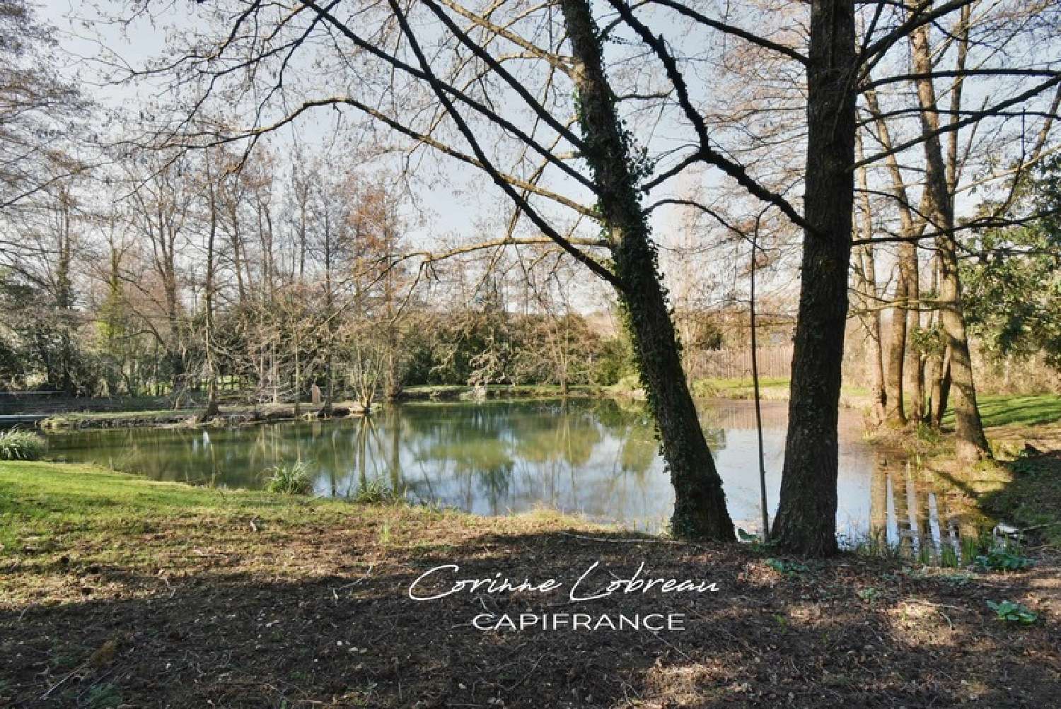  en venta villa Flacé-lès-Mâcon Saône-et-Loire 7