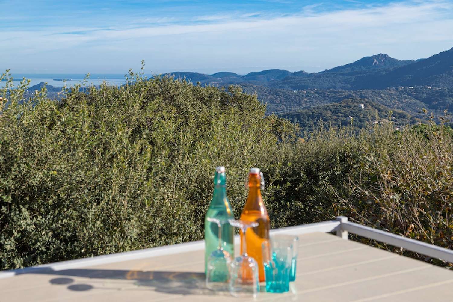  te koop villa Fréjus Var 3