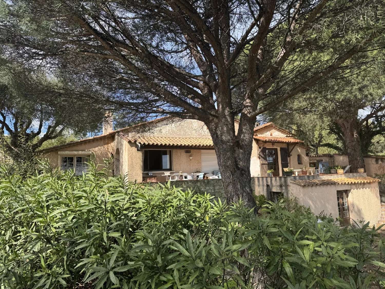  en venta villa Grimaud Var 5