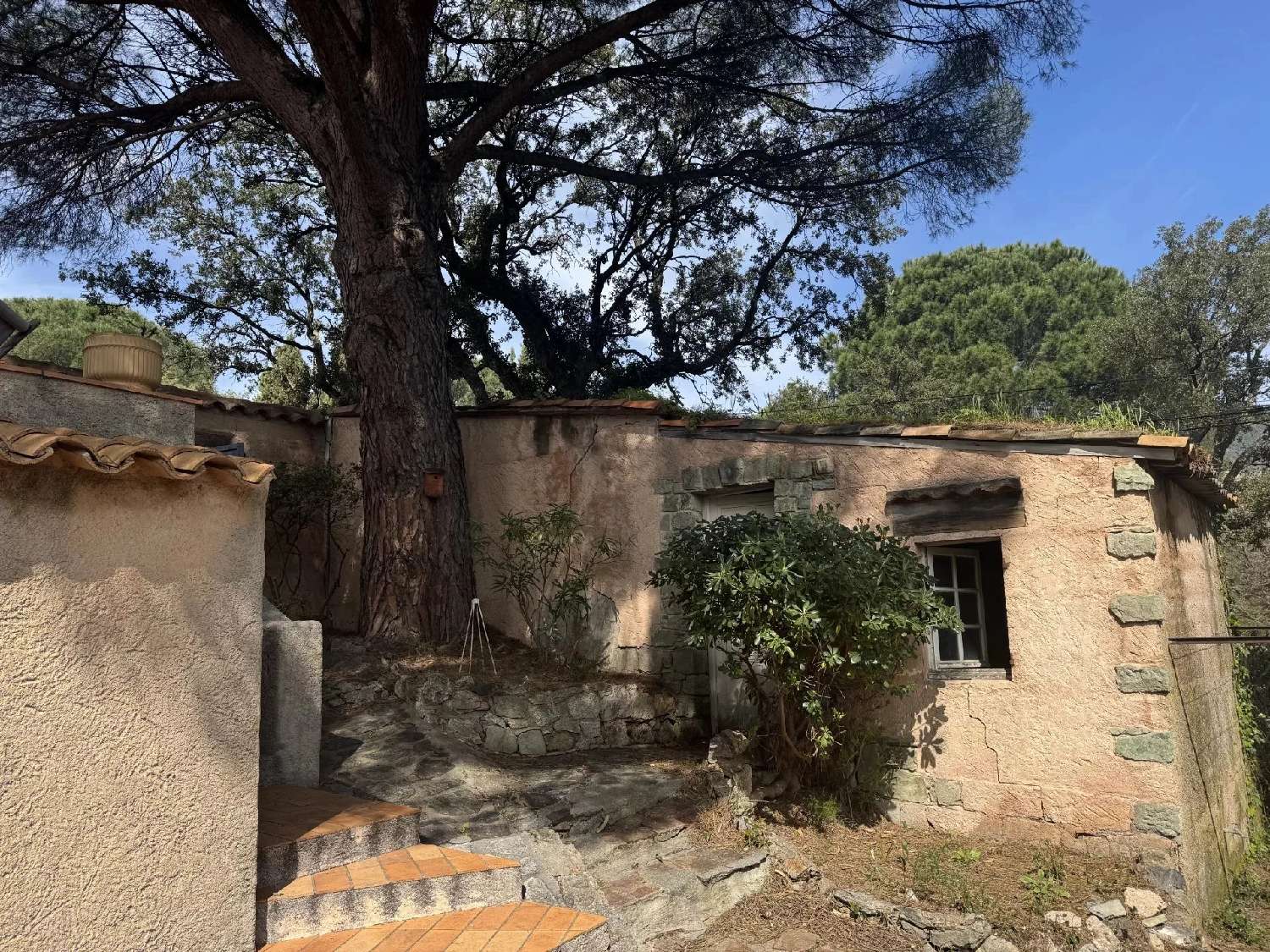  en venta villa Grimaud Var 6