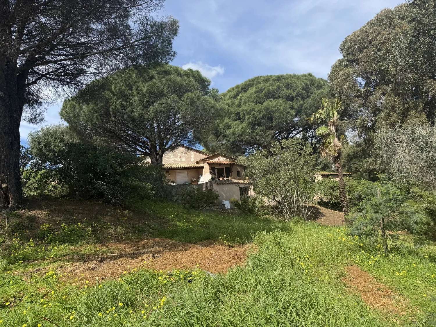  en venta villa Grimaud Var 8