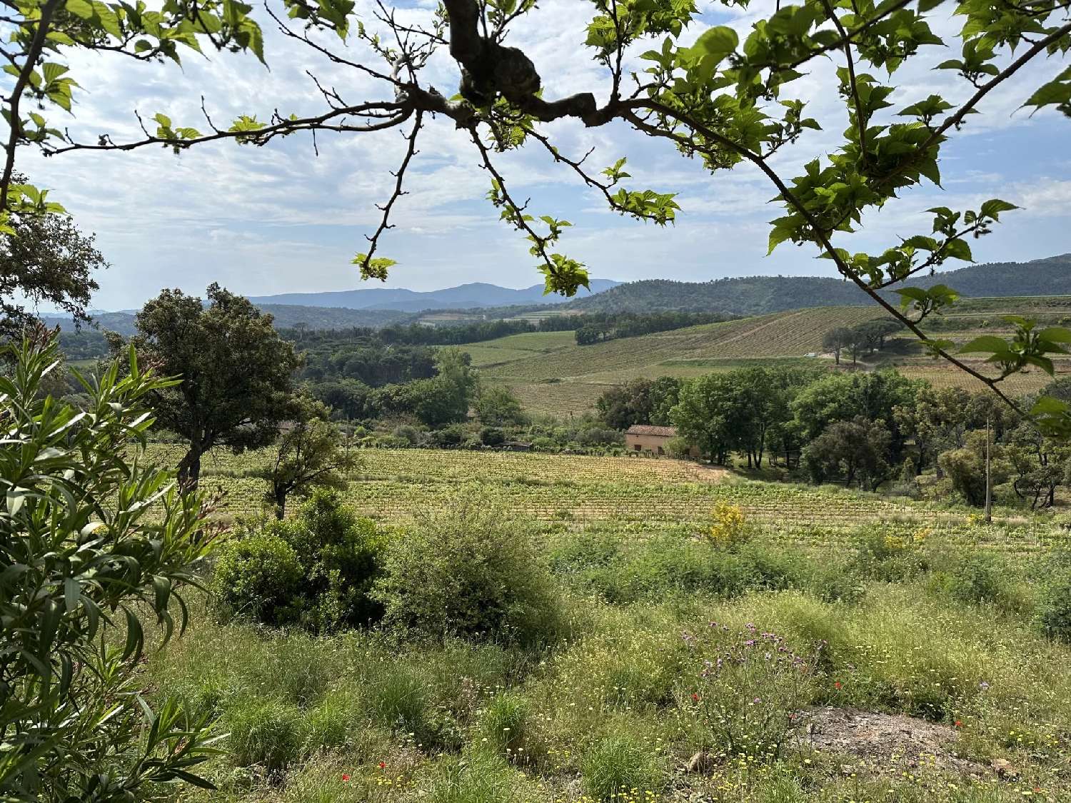  en venta villa Grimaud Var 3