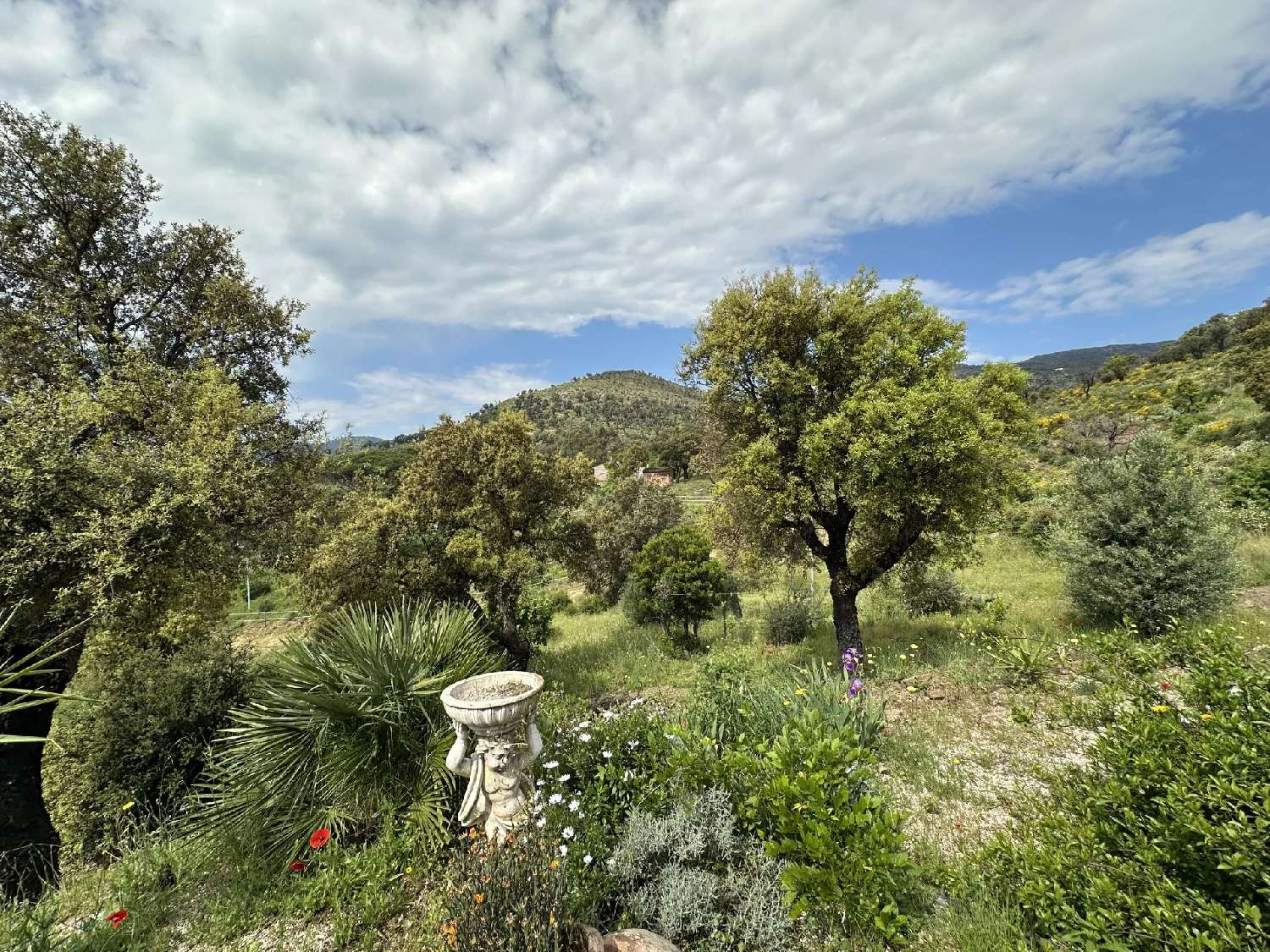  en venta villa Grimaud Var 5
