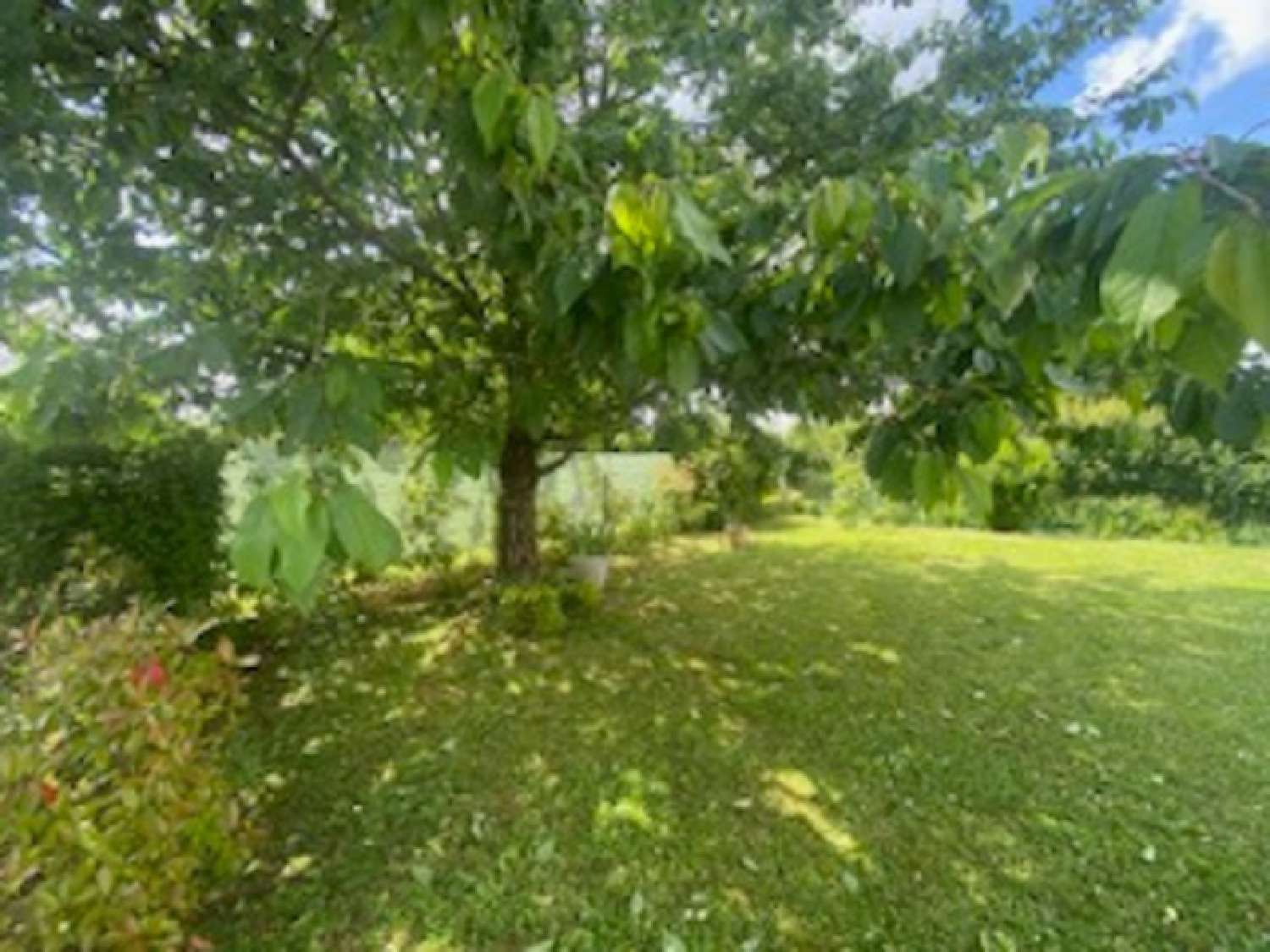  à vendre villa L'Orbrie Vendée 3