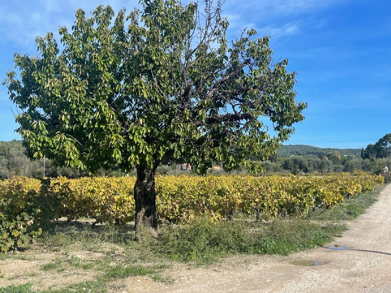  en venta villa Les Loges-Saulces Calvados 2
