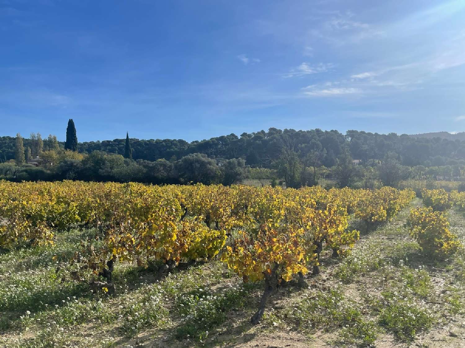  en venta villa Les Loges-Saulces Calvados 5