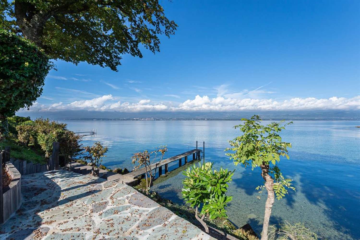  te koop villa Nernier Haute-Savoie 2