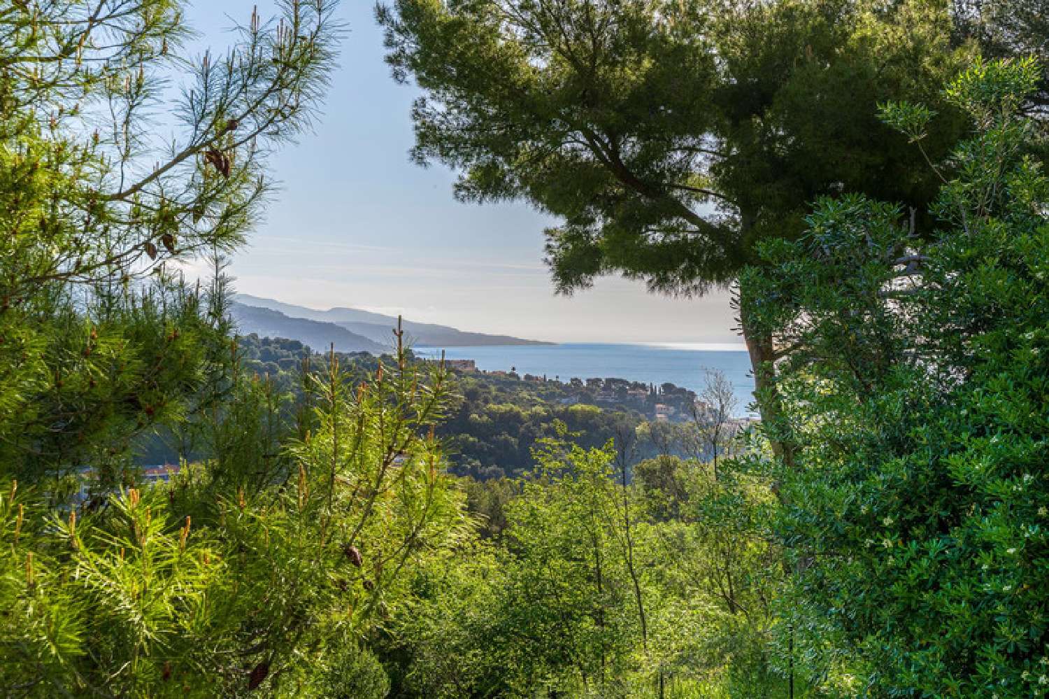  à vendre villa Roquebrune-Cap-Martin Alpes-Maritimes 3