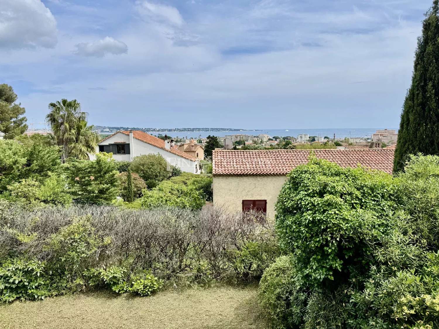  te koop villa Vallauris Alpes-Maritimes 1