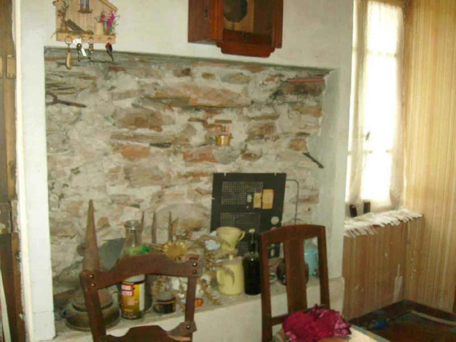  for sale village house Albine Tarn 6