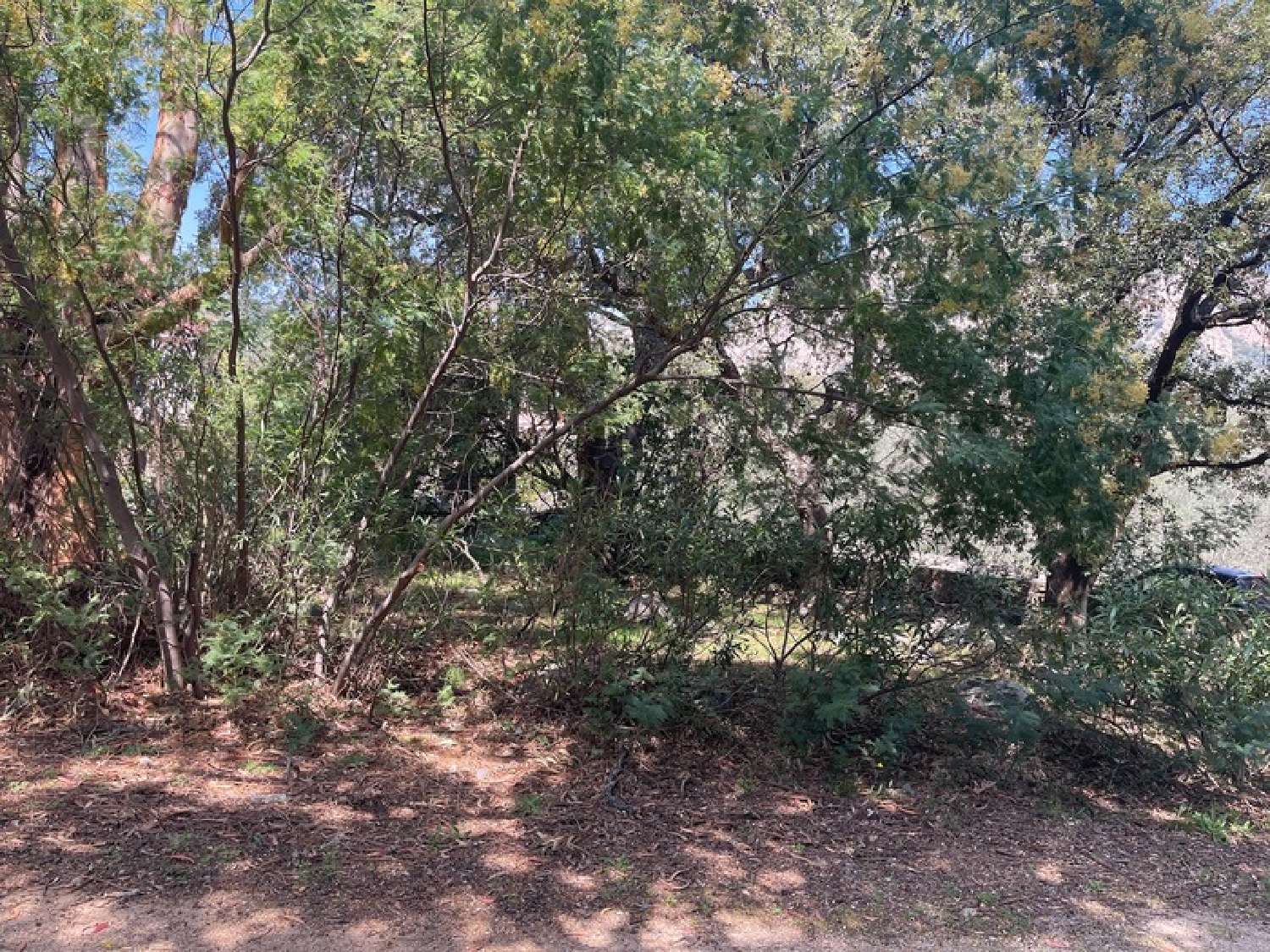  à vendre maison de village Conca Corse-du-Sud 7