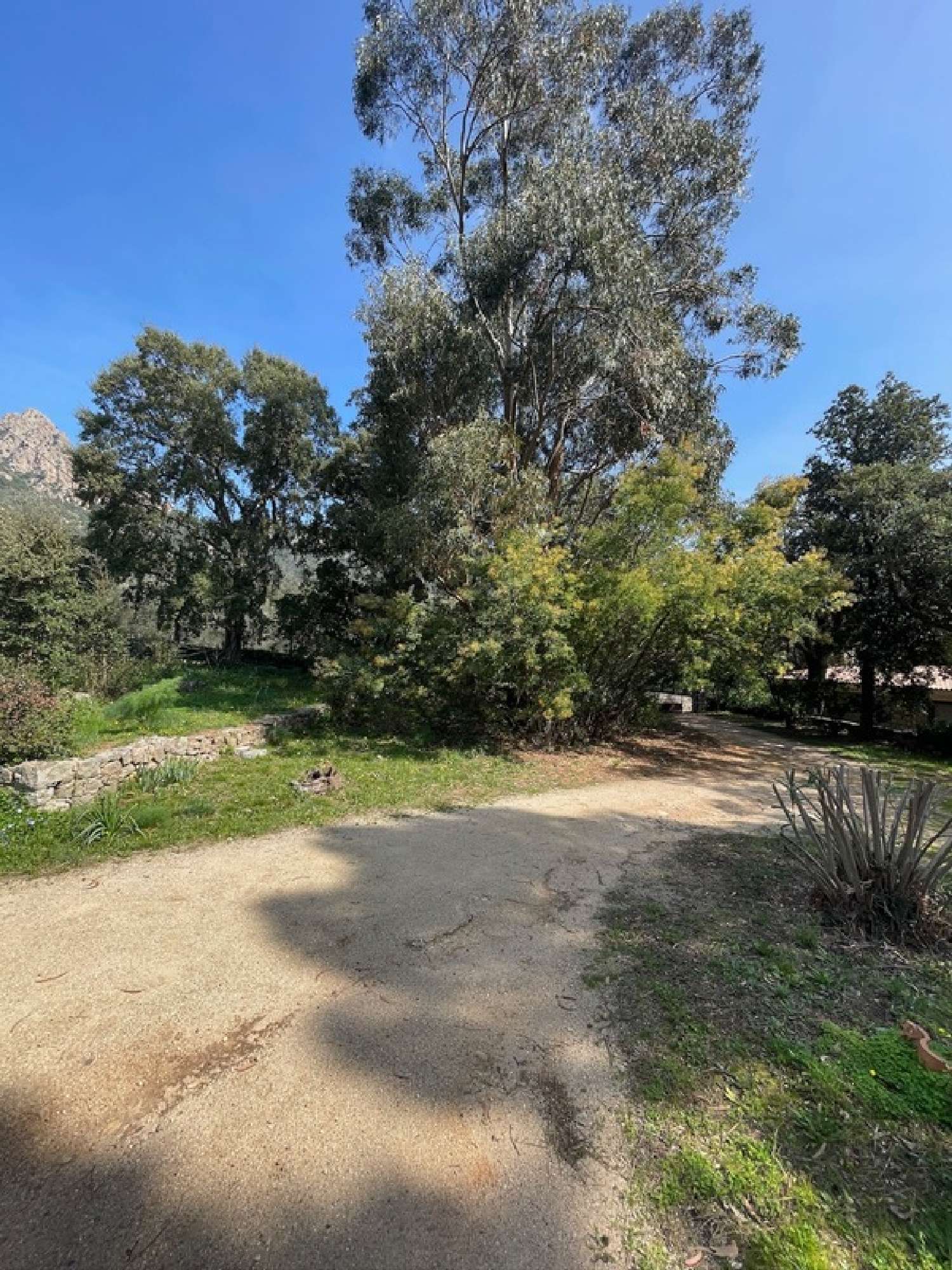  à vendre maison de village Conca Corse-du-Sud 8