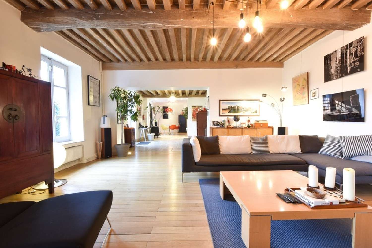  à vendre maison de village Mionnay Ain 3