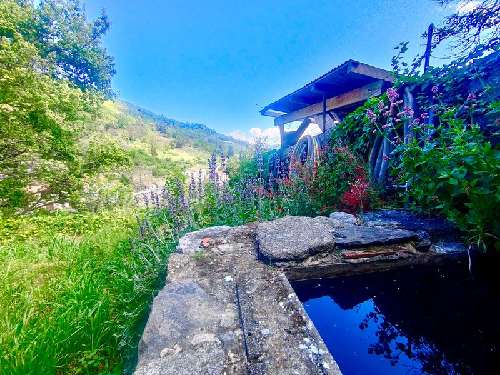  kaufen Dorfhaus Mosset Pyrénées-Orientales 3