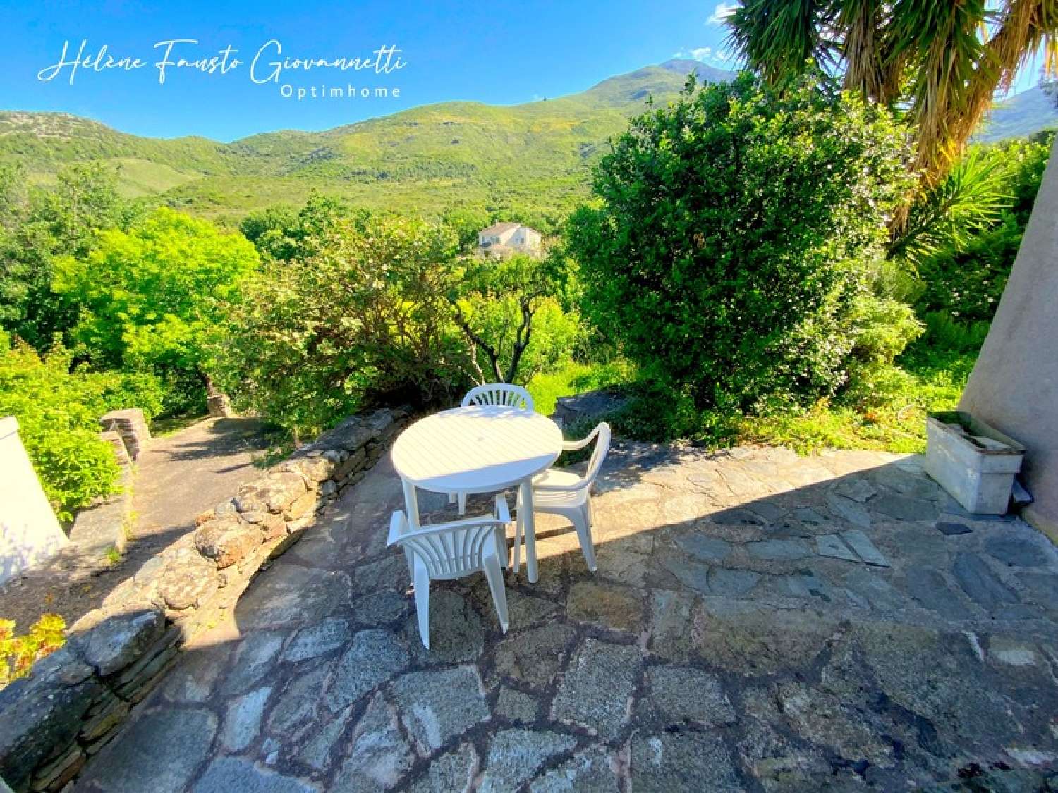  te koop dorpshuis Patrimonio Haute-Corse 6