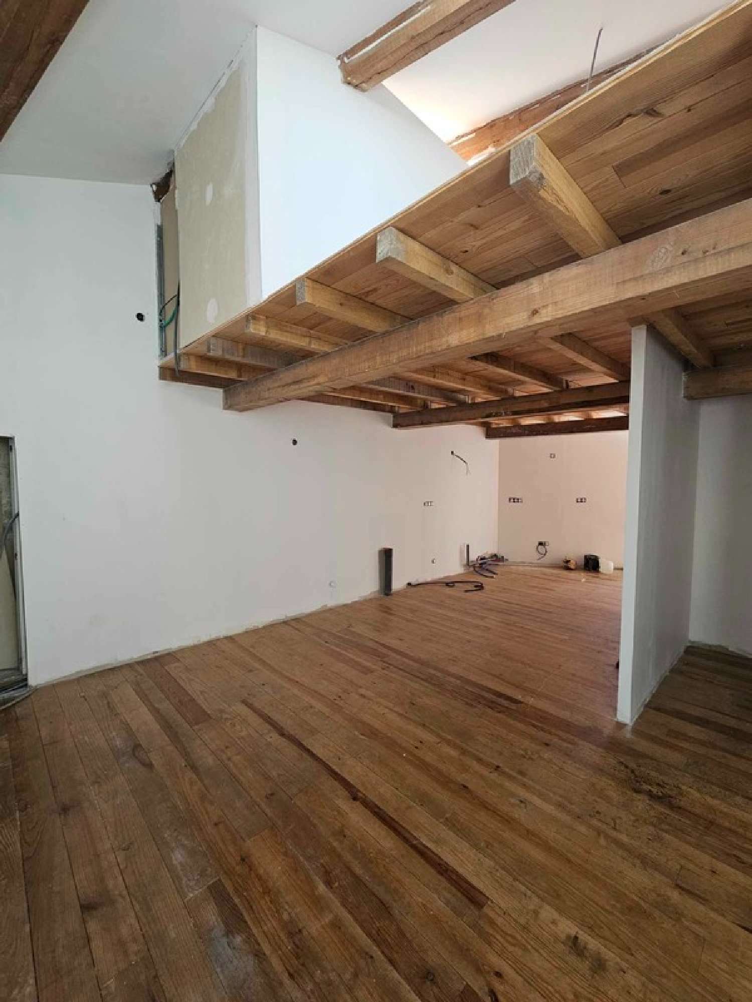  à vendre maison de village Trèbes Aude 1