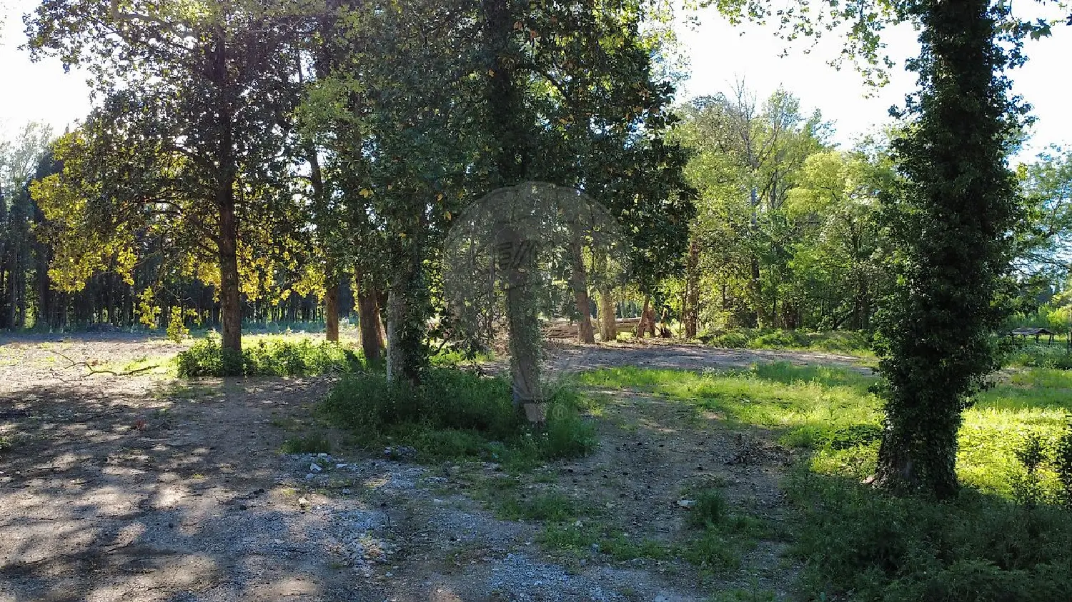 kaufen Büro Saint-Césaire Gard 4