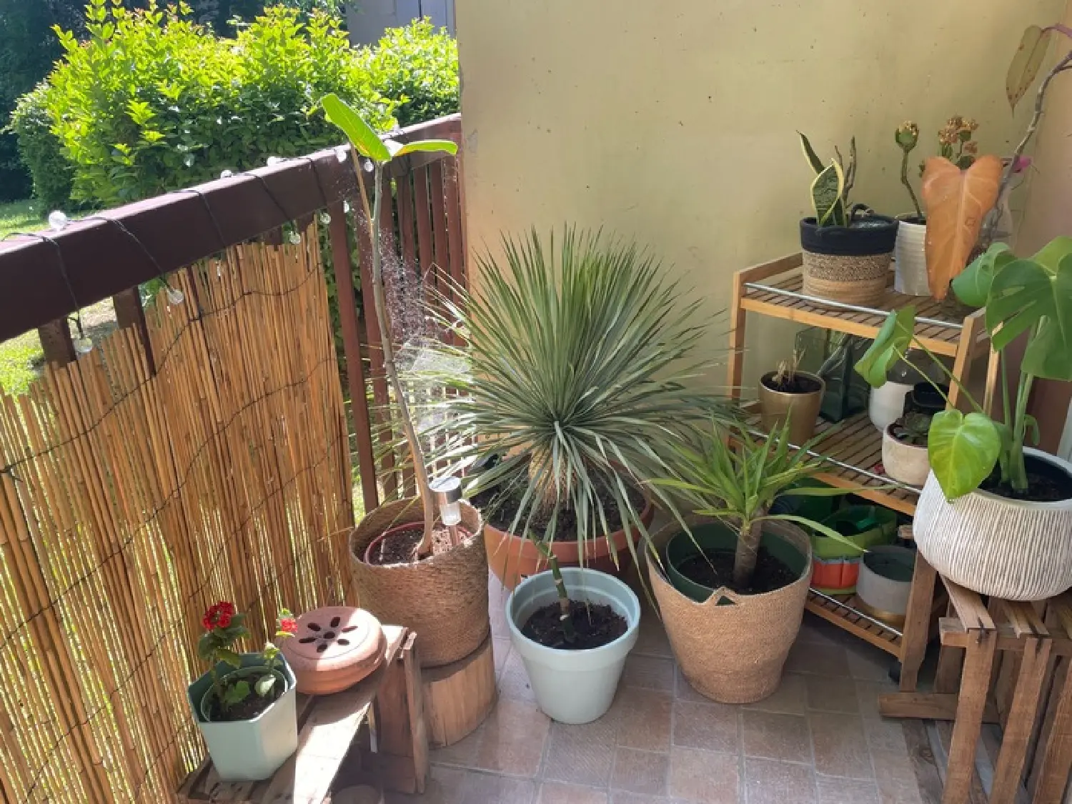  à vendre appartement Aix-en-Provence Bouches-du-Rhône 5