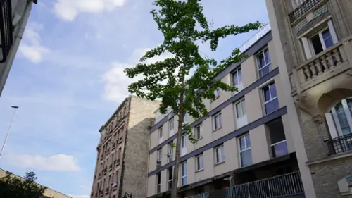 Asnières-sur-Seine Hauts-de-Seine appartement foto 7099703